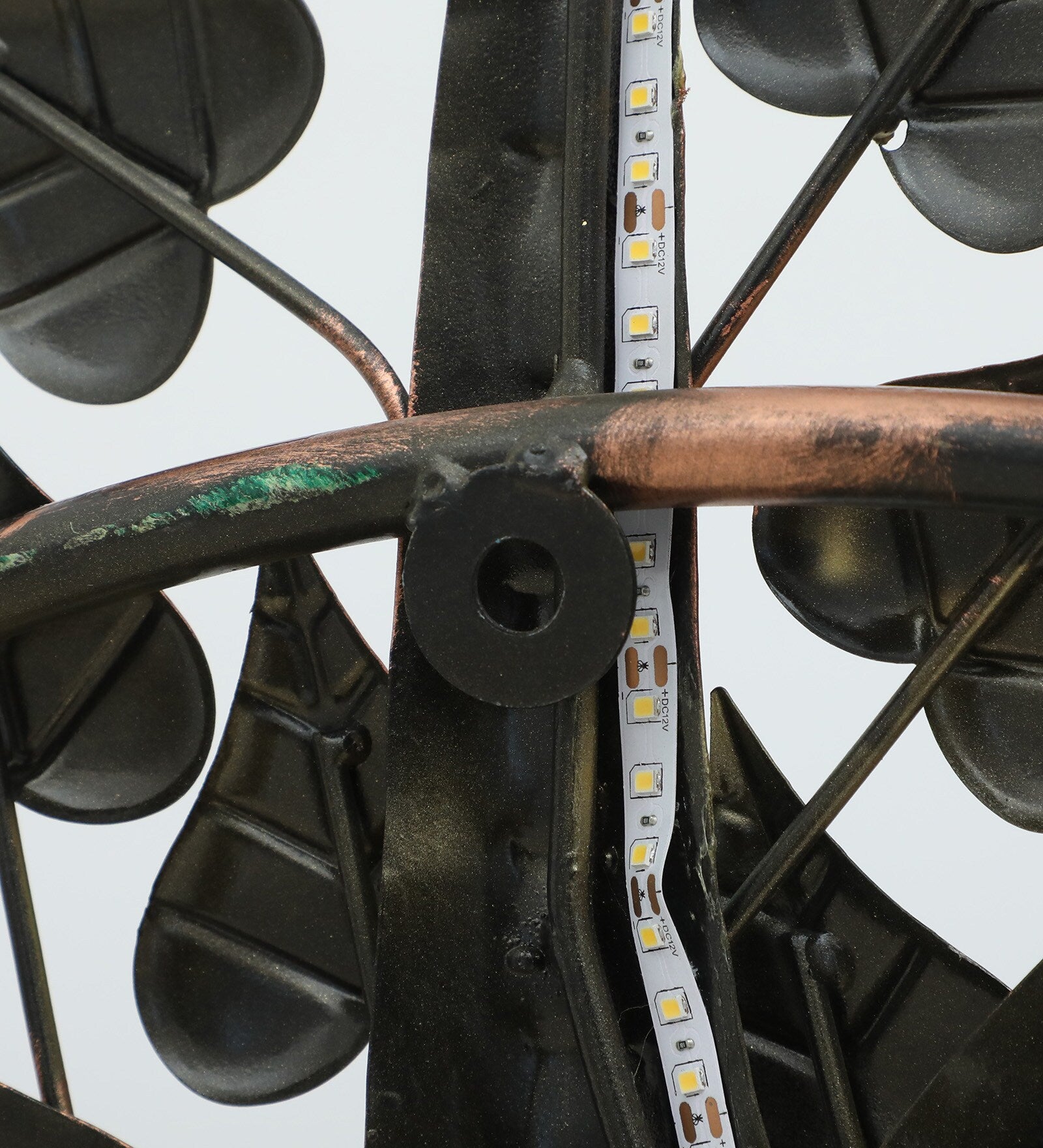 Majestic Ring Peacock Metal Wall Art with LED